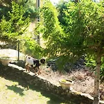 Escapadinha Da Estrela 木屋