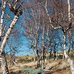 木屋 Escapadinha Da Estrela Penhas da Saúde
