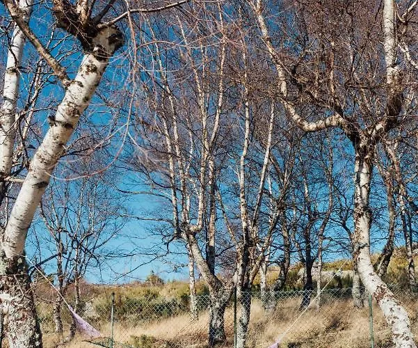 Escapadinha Da Estrela - Пеньяс-да-Сауде